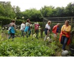 Alle hoeken van de moestuin worden bezichtigd.