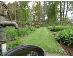 De eiken rond de moestuin worden aangepakt ....