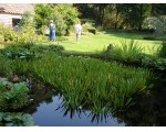 Natuur en tuin, wat wil je nog meer.