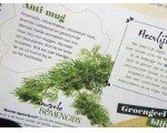 Muggen: weer ze met geurige planten.
