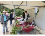 Belangstelling voor De Tuinmuze.