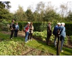 Er is al veel gerooid in de moestuin.