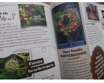 December: waarom ik jaarrond een kerstkrans naast mijn voordeur hang.