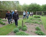 De moes- en kweektuin is nog redelijk kaal.