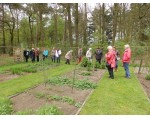 De Doolhof: In de kweek- en moestuin staat nog weinig in bloei