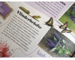 Dit verhaal mag niet ontbreken in de rubriek Tuin & Erf van het blad Landleven.