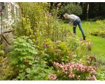 Sommigen gaan diep door de knieën om een plant beter te bekijken.