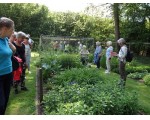 Er groeit al veel in de moes- en kweektuin.