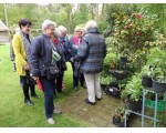 De plantjes voor Compassion uitzoeken.