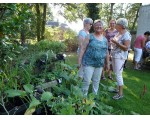 De opbrengst van deze plantjes is voor Compassion.