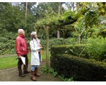 Kijkje naar de moestuin door de berceau van ramblers.