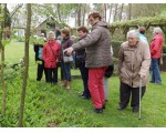 De Doolhof: ook de bosrand biedt interessante planten