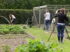 Landleven zaait tweejarigen in de Muzetuin