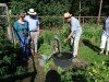 Gelderse Roos bij de Tuinmuze