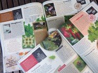 Tips en weetjes voor de tuinier in Landleven 2018-5 en 2018-6.