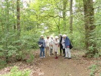 Beraad in het bos.