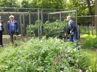 Als de Bonte Tuinvlooien in de moestuin zijn, wordt de pomp even uitgeprobeerd.