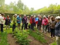 De moes- en kweektuin geniet veel belangstelling