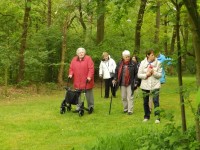 Het stukje bos hoort ook bij de tuin.