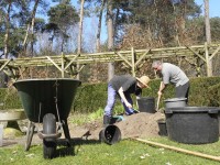 Grond uitkammen op oude wortels